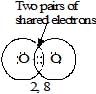 Carbon and its Compounds Class 10 Notes Science Chapter 4